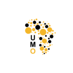 site logo partenaire aly_Plan de travail 1 copie 3